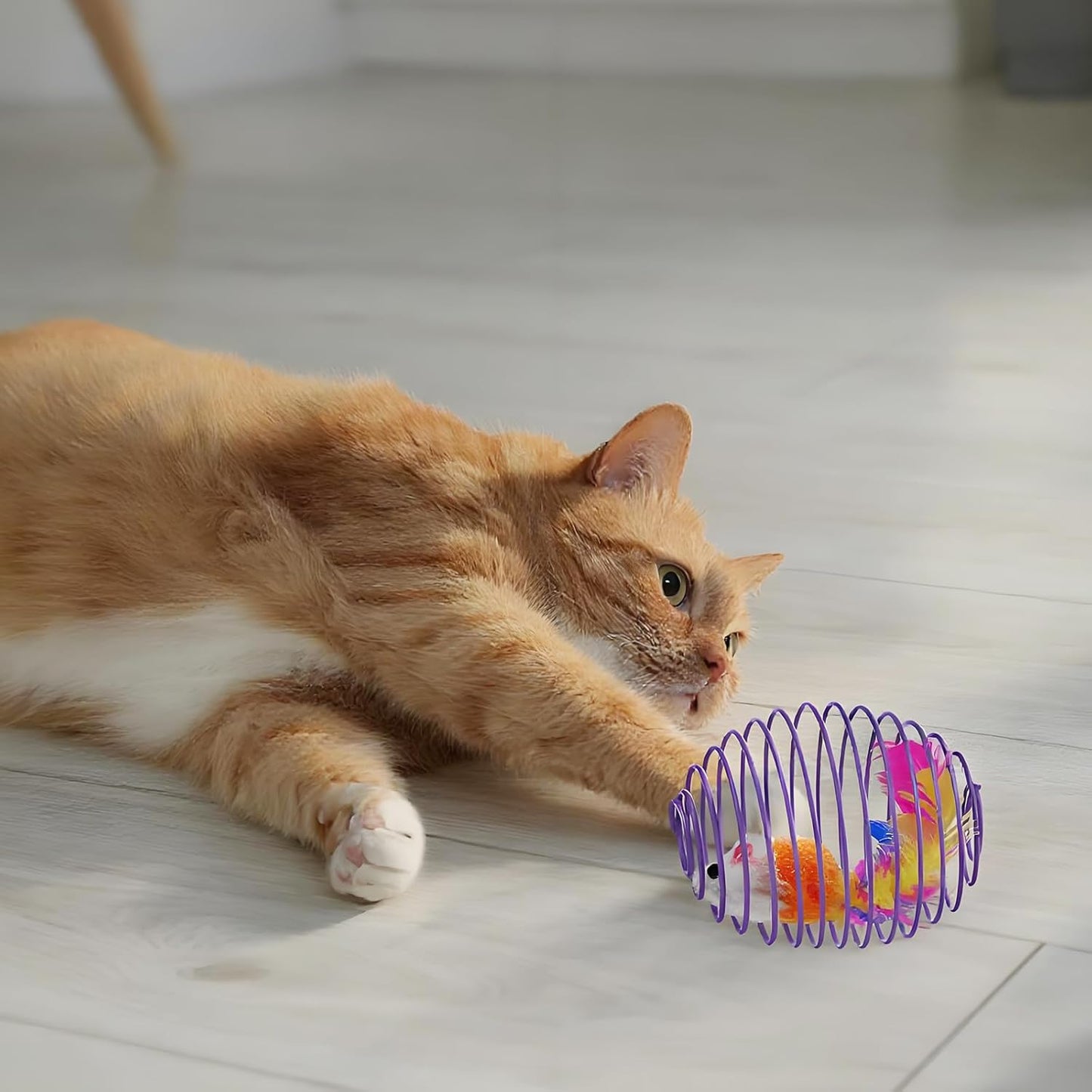 Cat Spring Balls Interactive Toy Set for Cats and Kittens