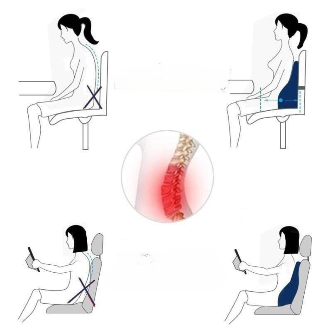 Memory Foam Lumbar Support Cushion Pillow