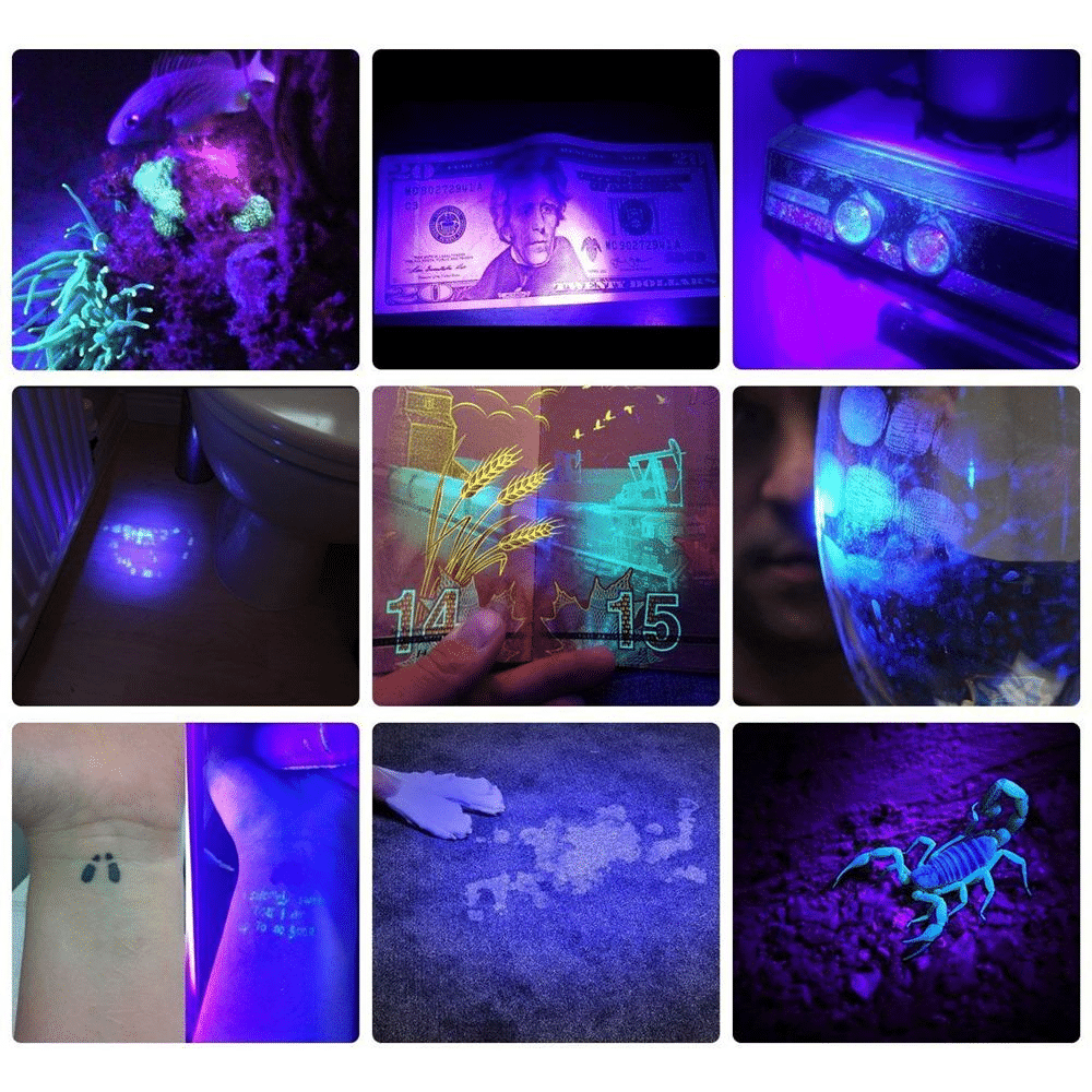21 LED UV Pocket Light