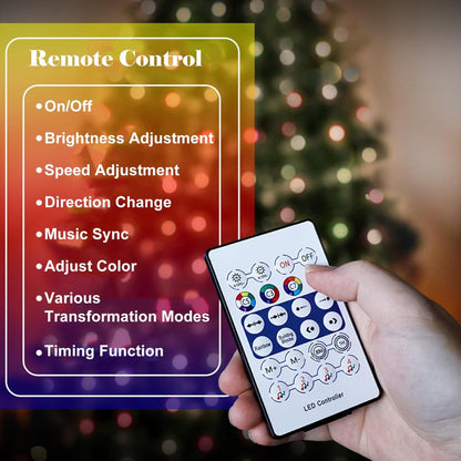 LED Outdoor Christmas Lights Smart Control System