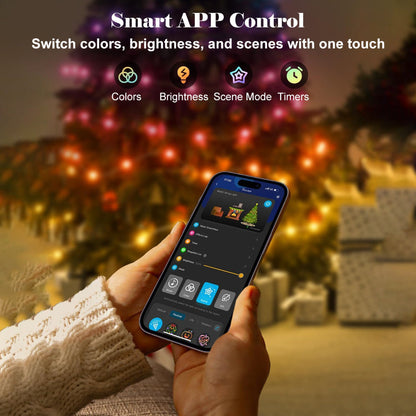 LED Outdoor Christmas Lights Smart Control System