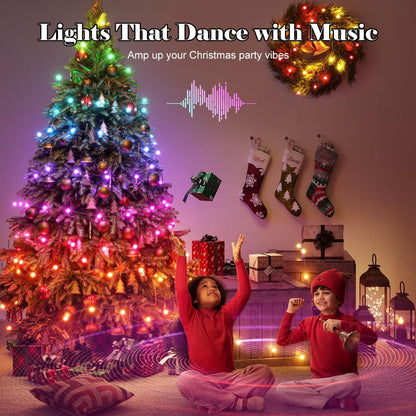 LED Outdoor Christmas Lights Smart Control System