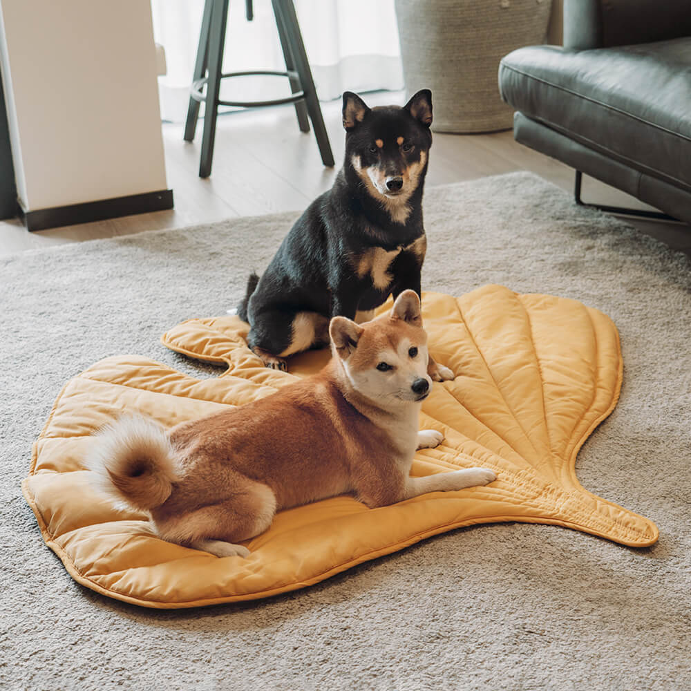 Large Dog Bed Blanket Cover Mat