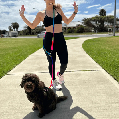 Hands-Free Dog Leash Adjustable Belt Attachment System