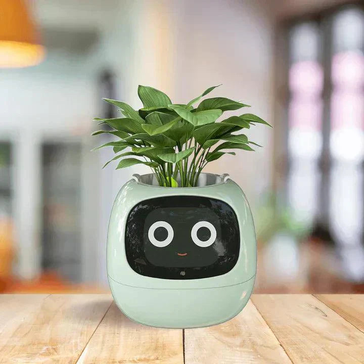 Self-Watering Indoor Plant Pot Planter