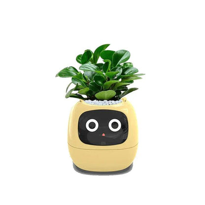 Self-Watering Indoor Plant Pot Planter