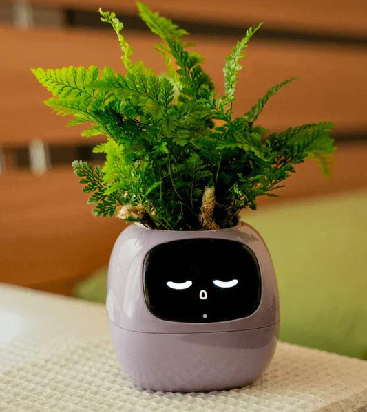 Self-Watering Indoor Plant Pot Planter