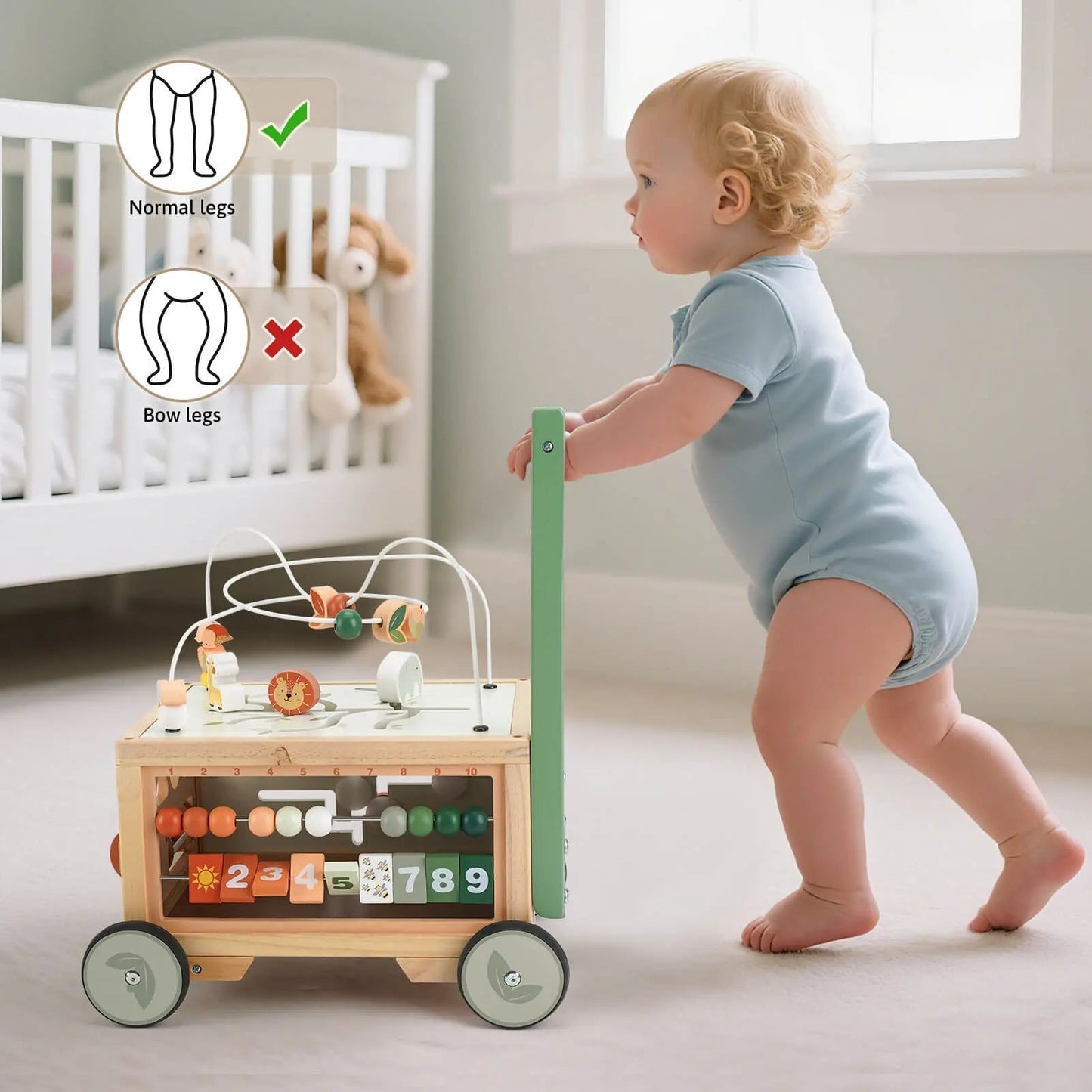 Adjustable Baby Walker Push Toy