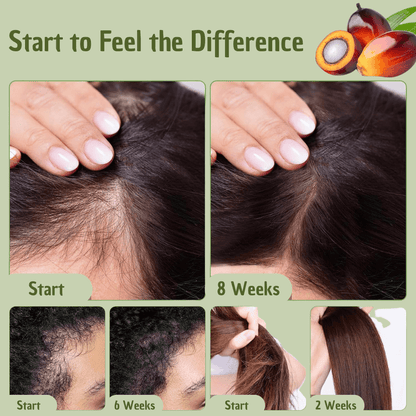 Batana Hair Oil Eco-Friendly Hair Care Product