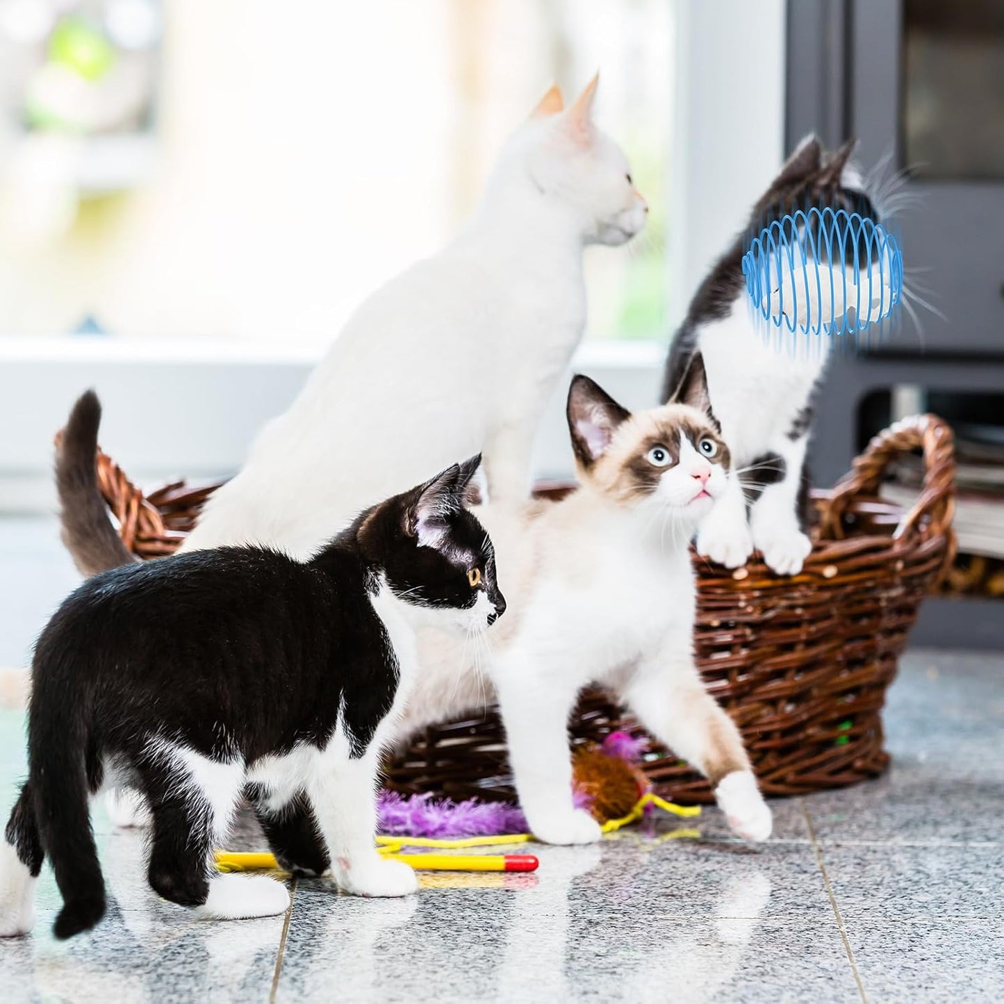 Cat Spring Balls Interactive Toy Set for Cats and Kittens