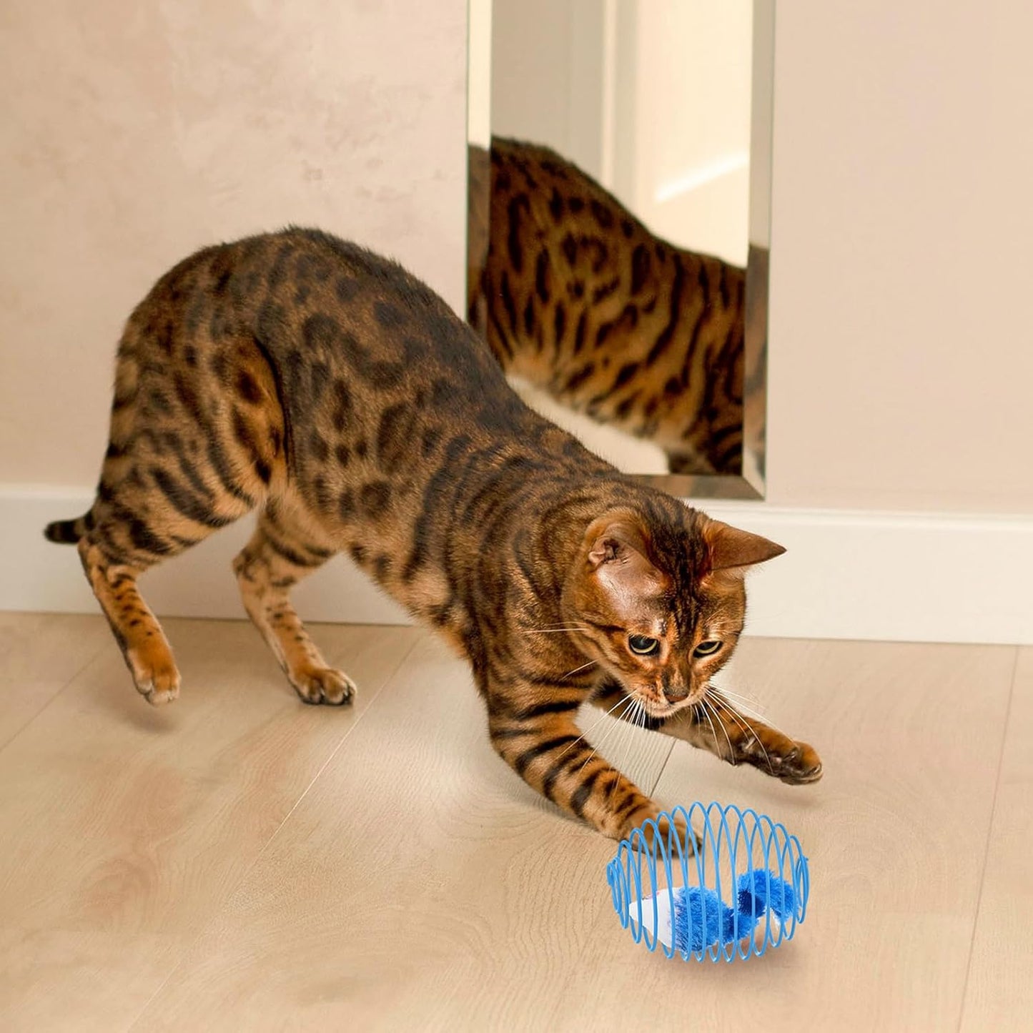 Cat Spring Balls Interactive Toy Set for Cats and Kittens