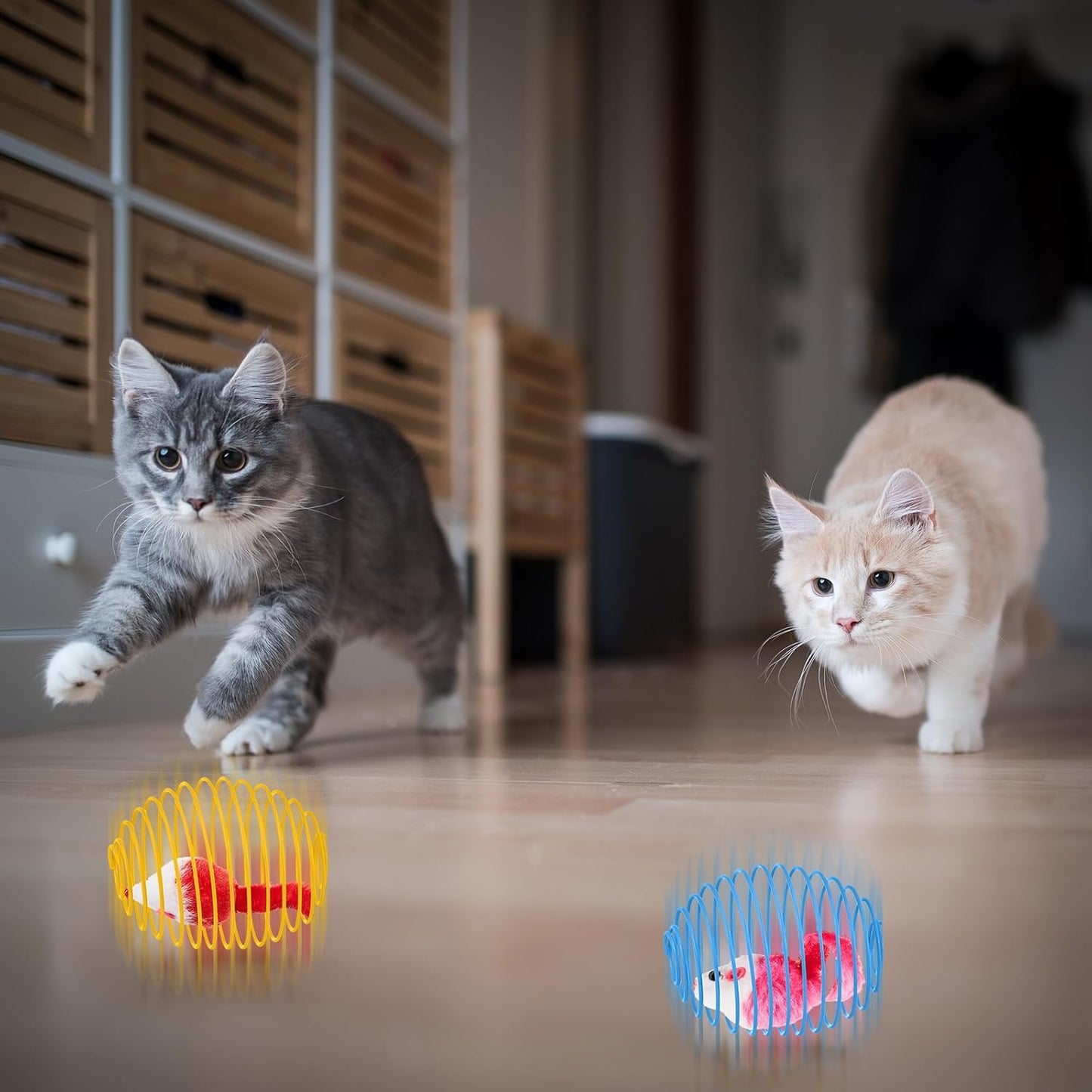 Cat Spring Balls Interactive Toy Set for Cats and Kittens