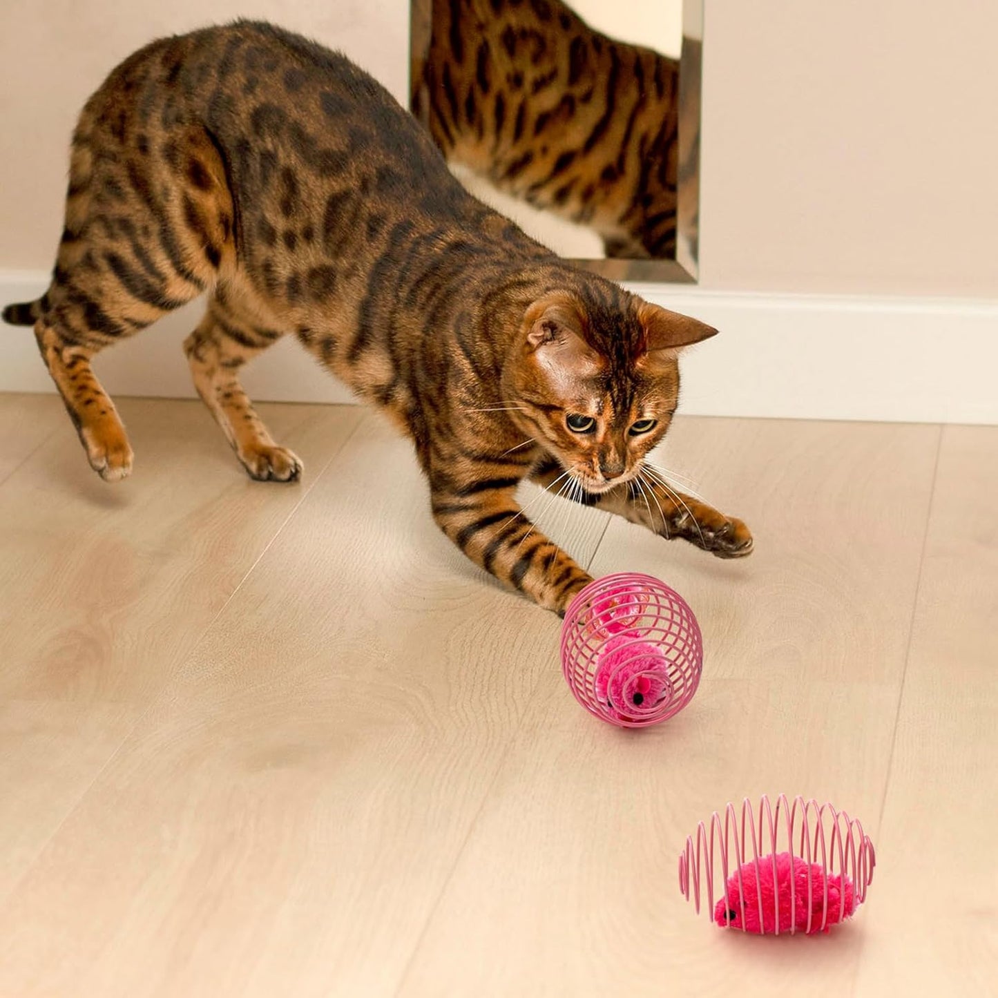 Cat Spring Balls Interactive Toy Set for Cats and Kittens