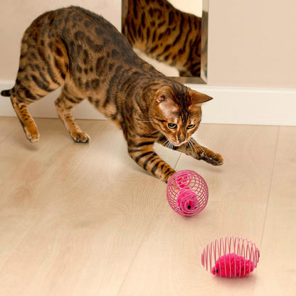 Cat Spring Balls Interactive Toy Set for Cats and Kittens