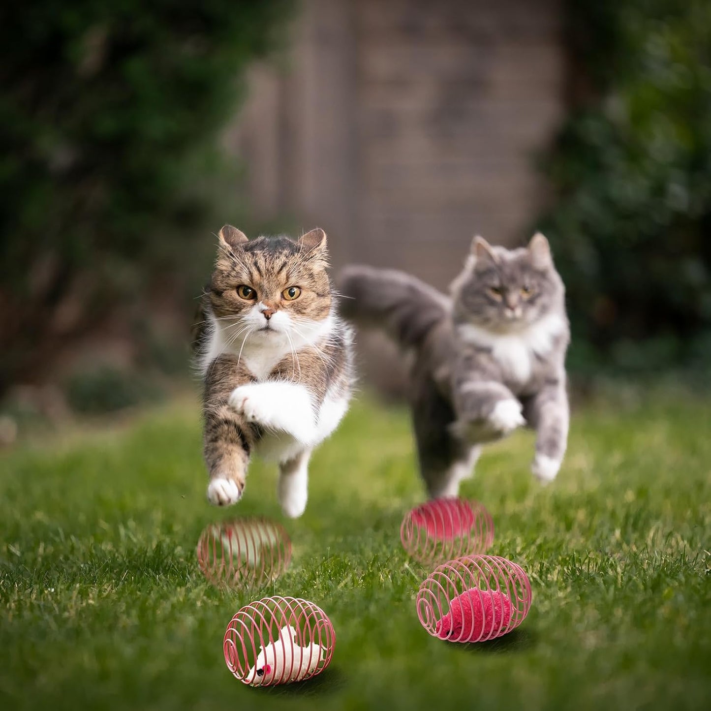 Cat Spring Balls Interactive Toy Set for Cats and Kittens