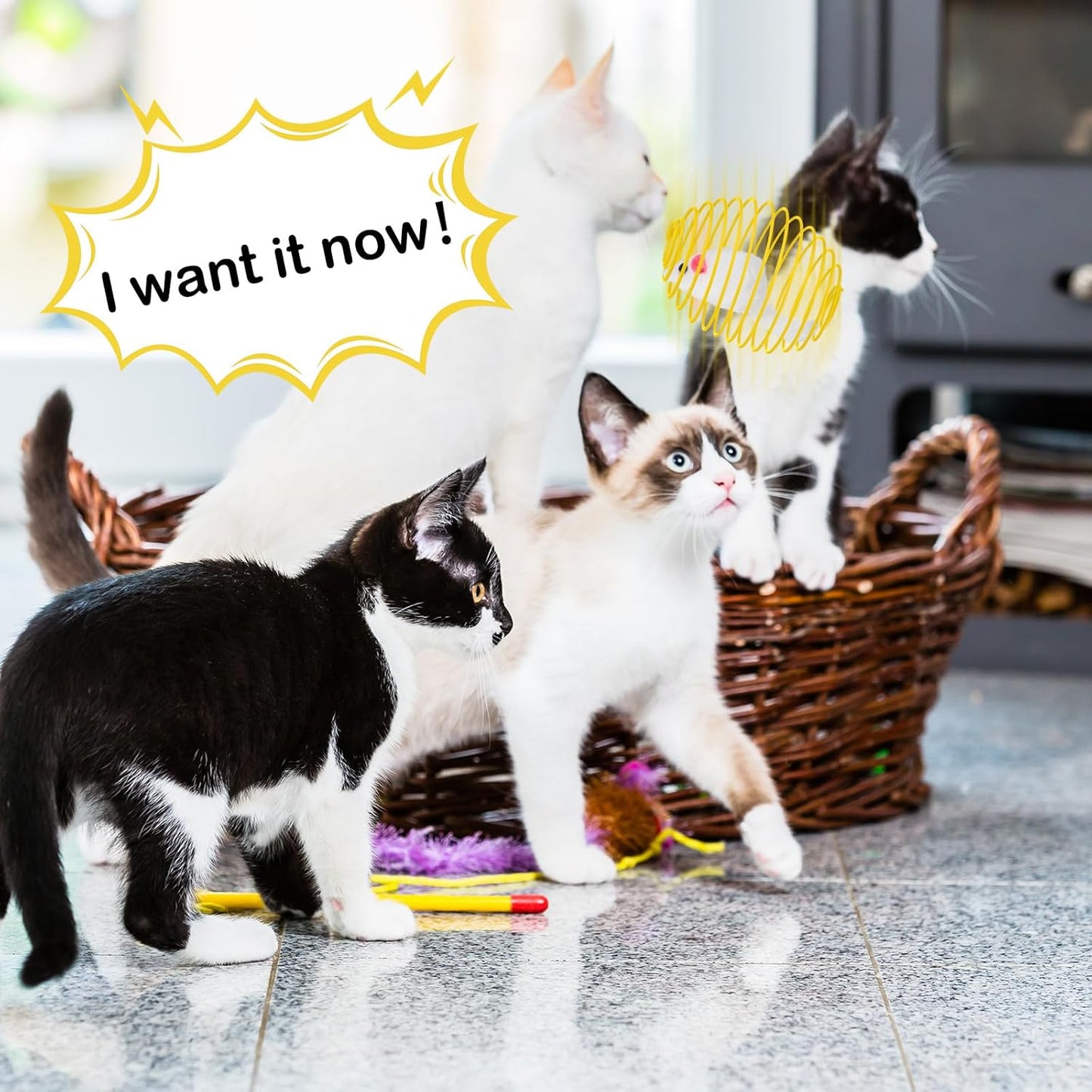 Cat Spring Balls Interactive Toy Set for Cats and Kittens