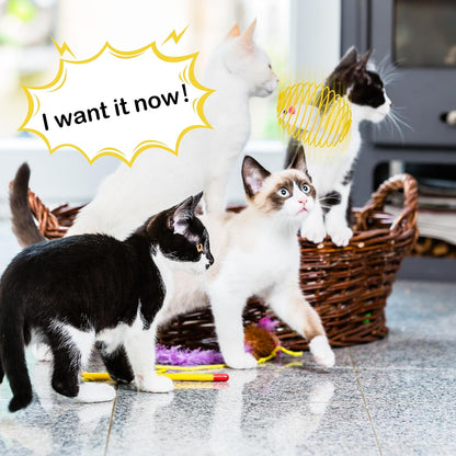 Cat Spring Balls Interactive Toy Set for Cats and Kittens