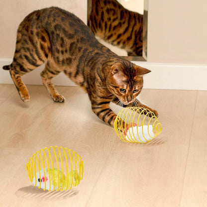 Cat Spring Balls Interactive Toy Set for Cats and Kittens