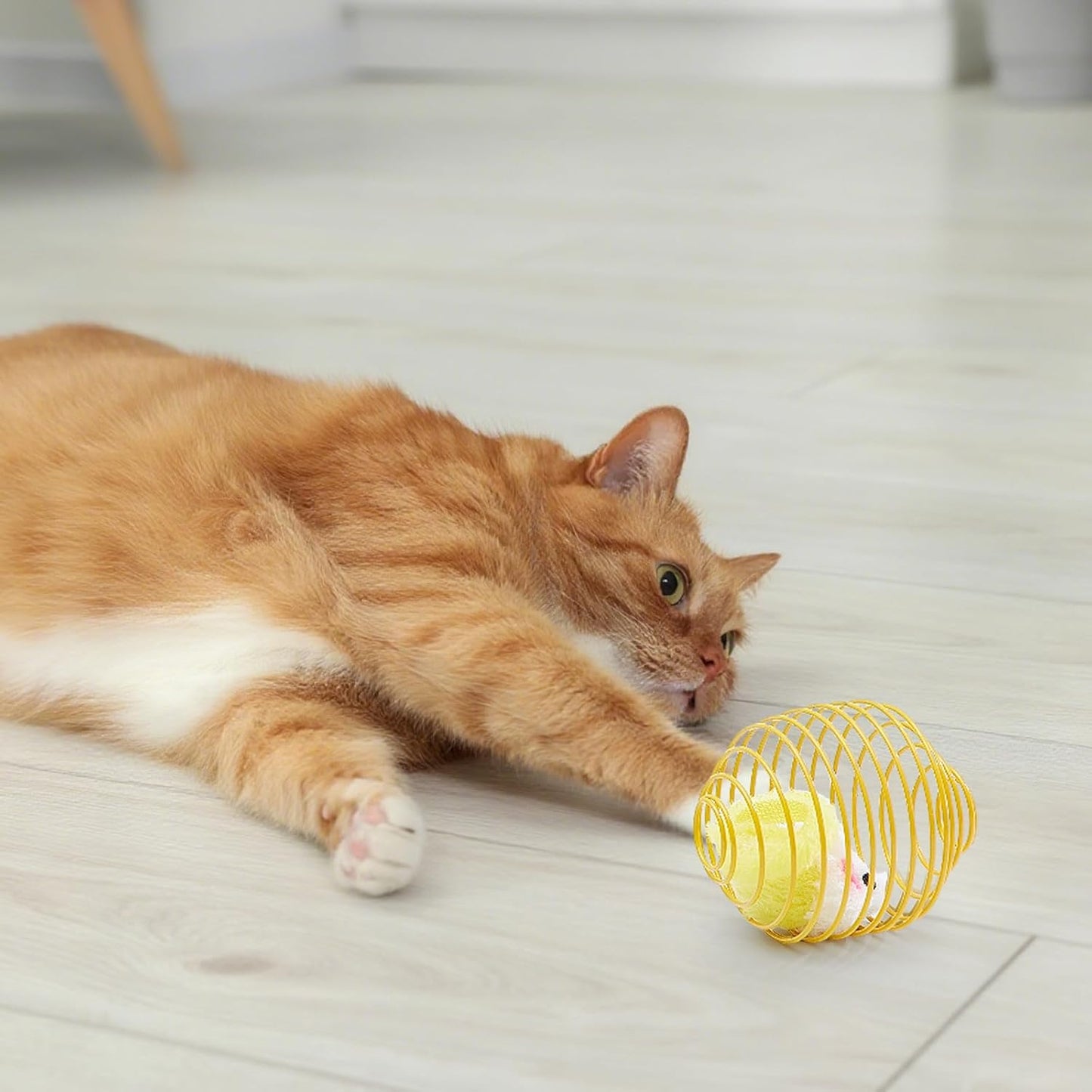 Cat Spring Balls Interactive Toy Set for Cats and Kittens
