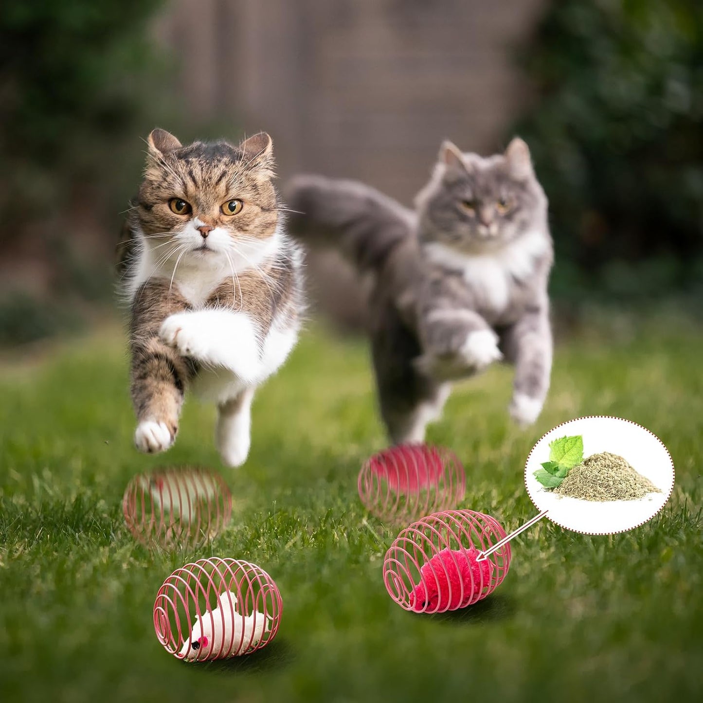 Cat Spring Balls Interactive Toy Set for Cats and Kittens