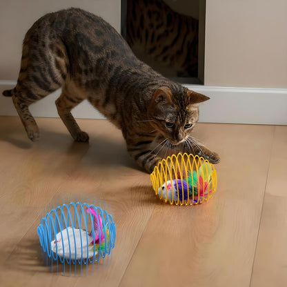Cat Spring Balls Interactive Toy Set for Cats and Kittens