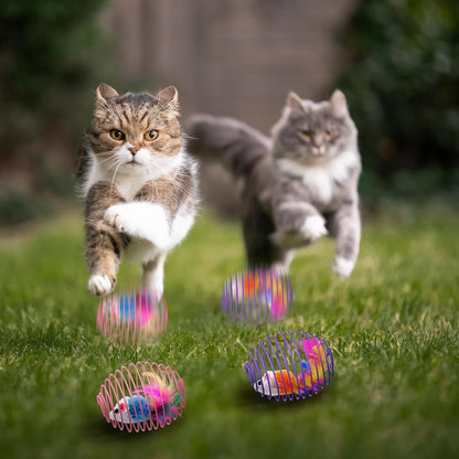 Cat Spring Balls Interactive Toy Set for Cats and Kittens