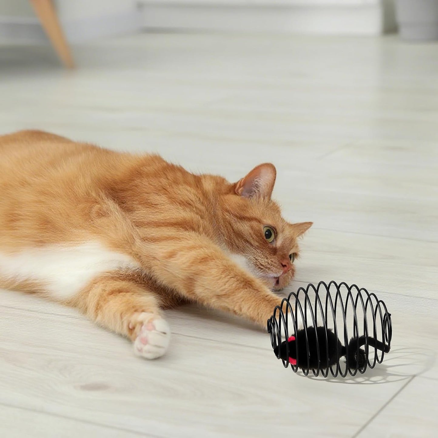 Cat Spring Balls Interactive Toy Set for Cats and Kittens