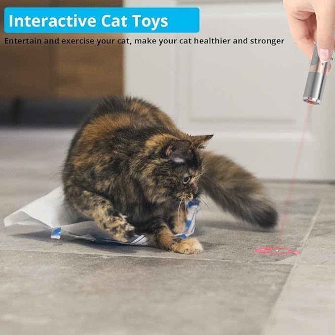 Rechargeable Laser Cat Toy