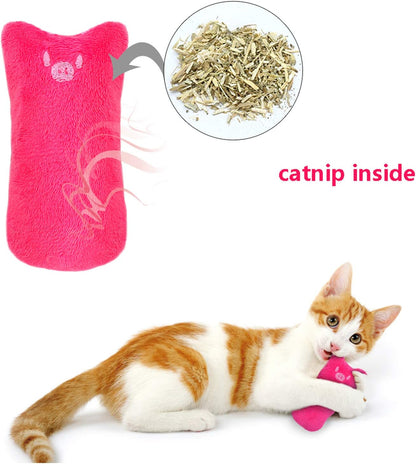 Catnip Mice Toys for Cats 5 Pack Chew Toys