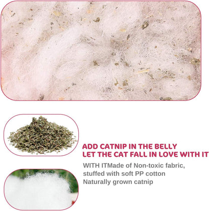 Catnip Mice Toys for Cats 5 Pack Chew Toys