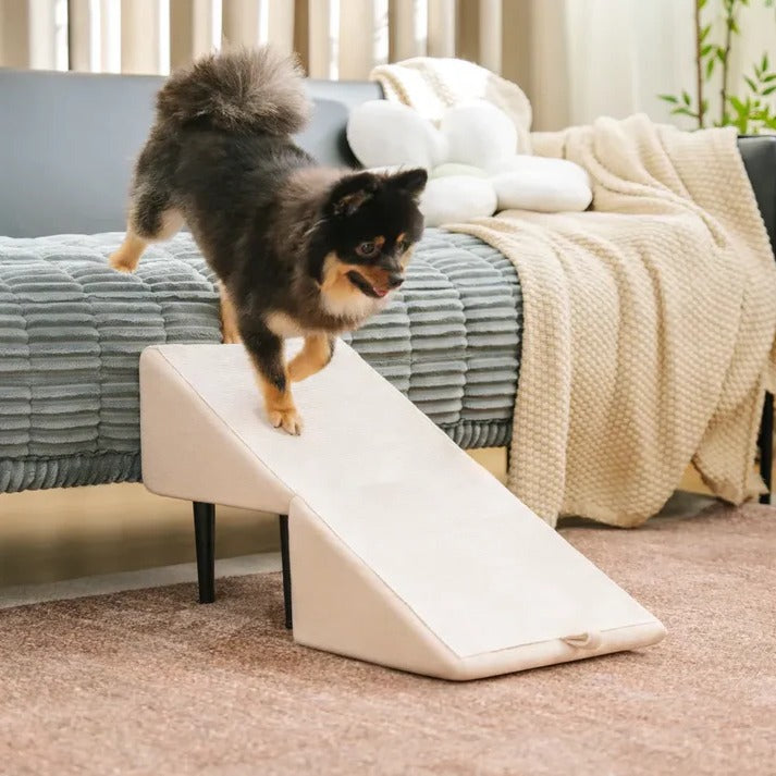 Dog Ramp Step Stool 2-in-1 Convertible