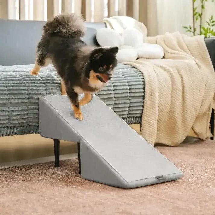Dog Ramp Step Stool 2-in-1 Convertible