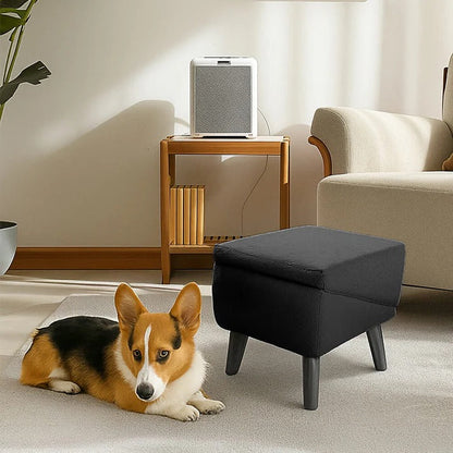 Dog Ramp Step Stool 2-in-1 Convertible