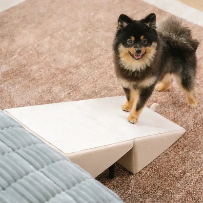 Dog Ramp Step Stool 2-in-1 Convertible