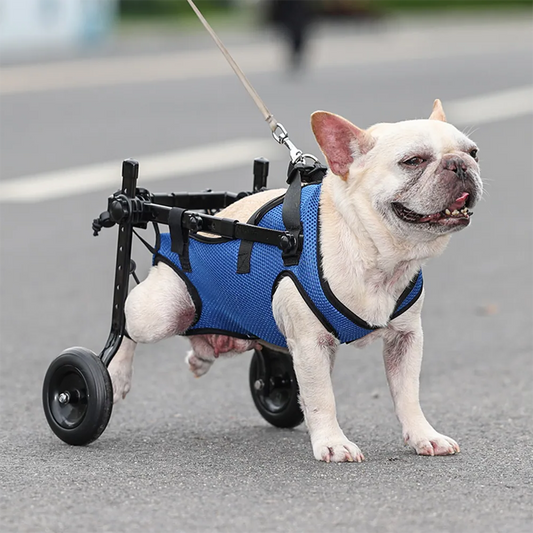 Dog Wheelchair Hind Leg Support Adjustable Pet Booster