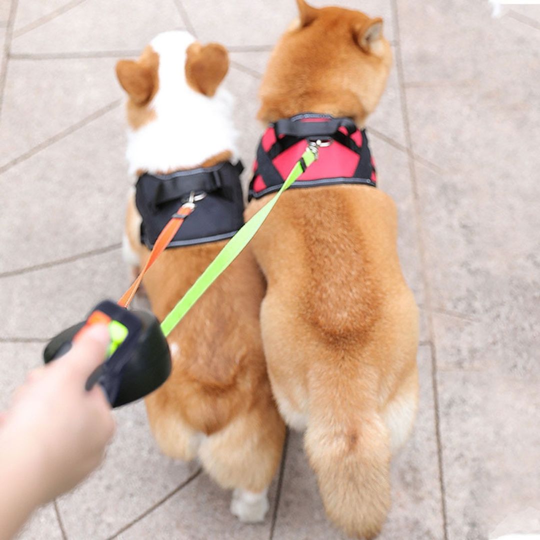 Double Dog Leash Connector Anti-Tangle Device