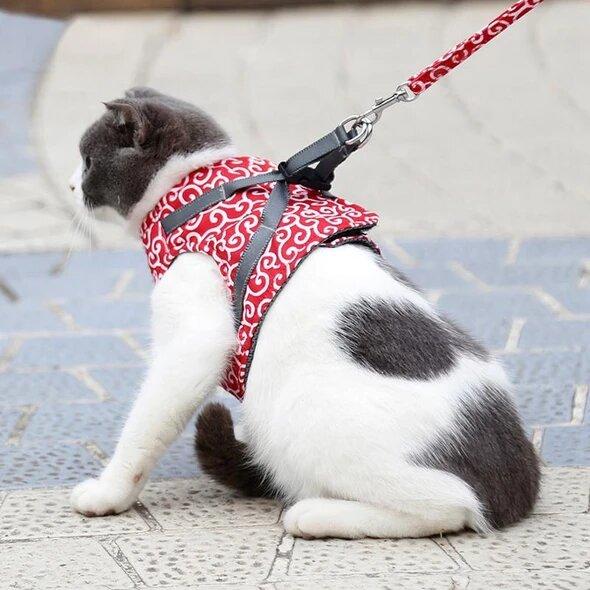 Cat Harness Secure Fit