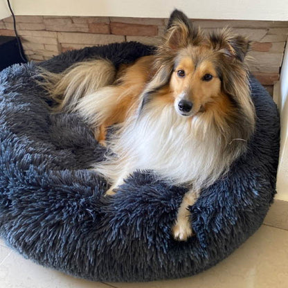 Circular Dog Bed Removable Cover Dog Bed