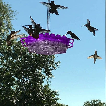 Hummingbird Feeder Ant Proof Hanging Perch Outdoor