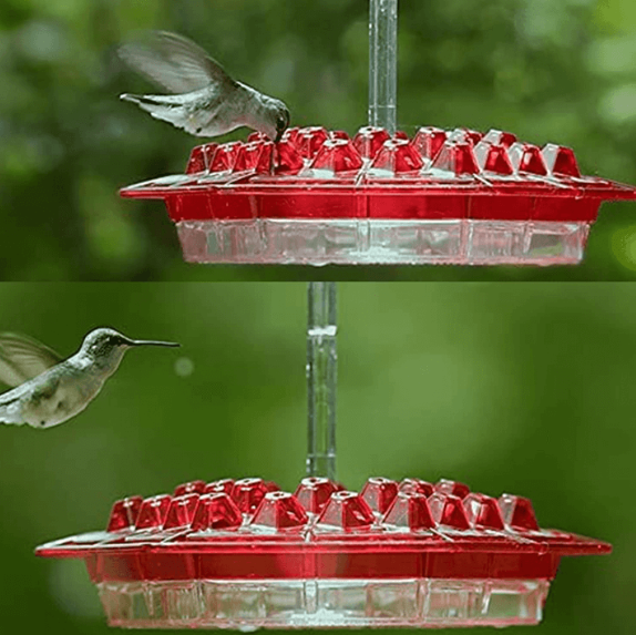 Hummingbird Feeder Ant Proof Hanging Perch Outdoor