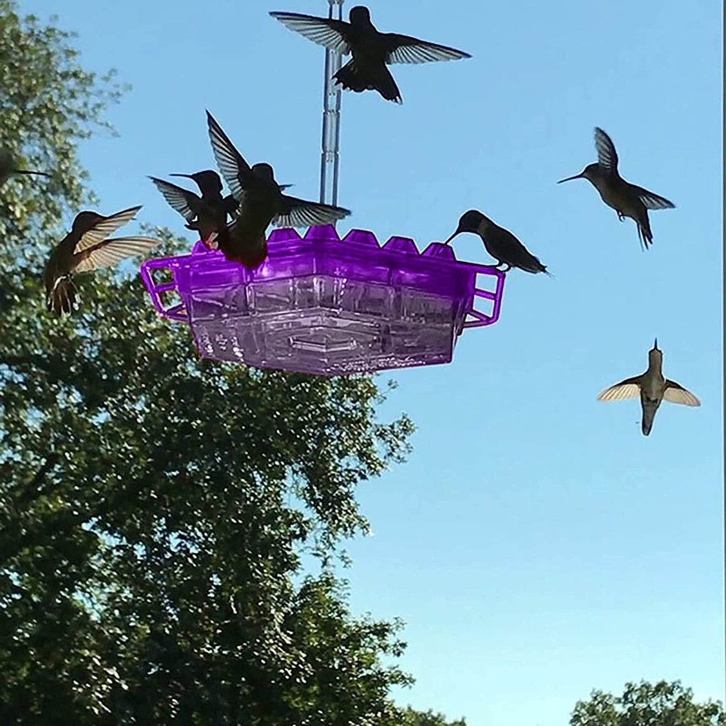 Hummingbird Feeder Ant Proof Hanging Perch Outdoor