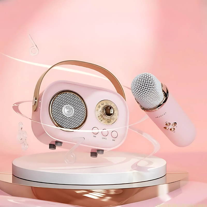 Karaoke Machine Bluetooth Speaker Portable Audio System