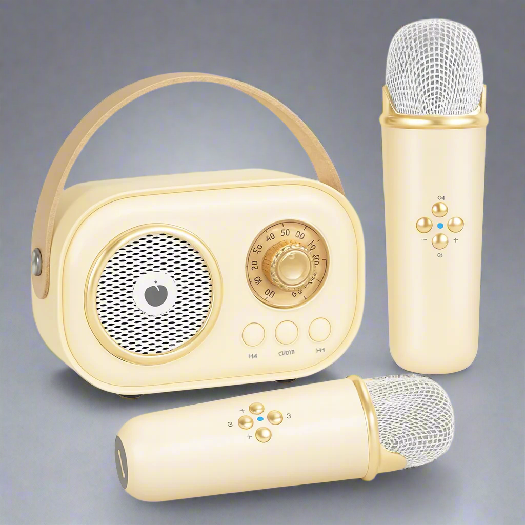 Karaoke Machine Bluetooth Speaker Portable Audio System