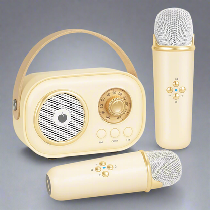 Karaoke Machine Bluetooth Speaker Portable Audio System