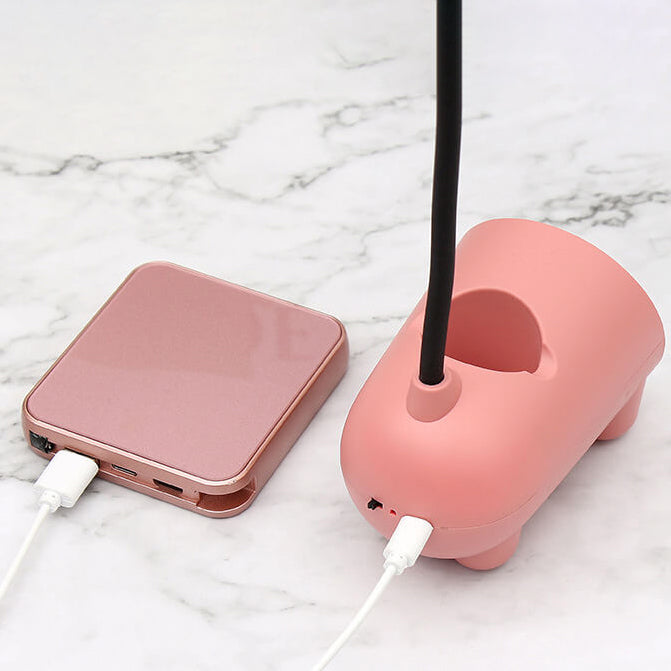 LED Desk Lamp with Pen Holder Organizer