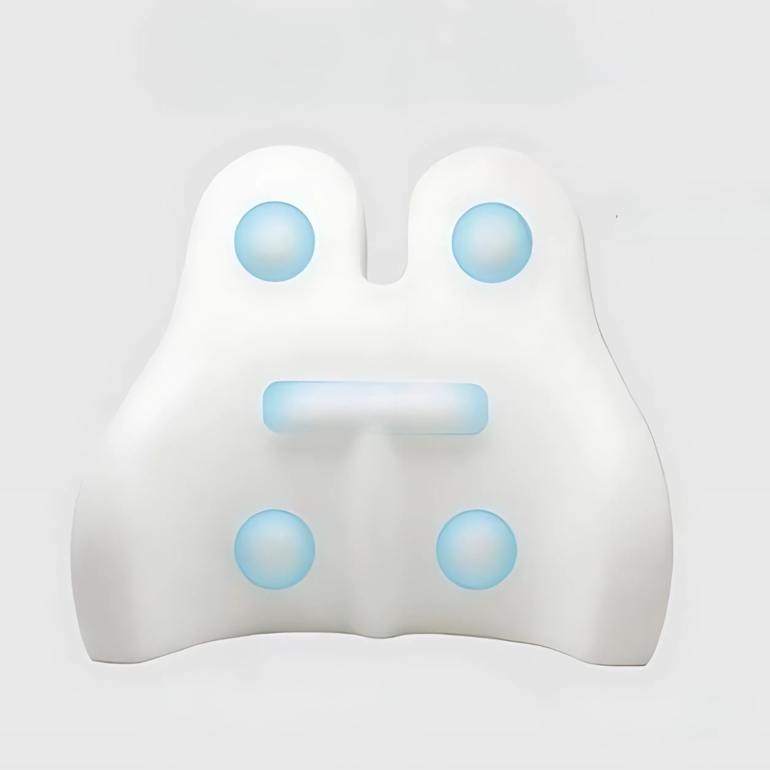 Memory Foam Lumbar Support Cushion Pillow