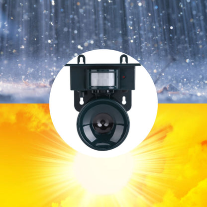Motion Sensor Bird Repeller Device