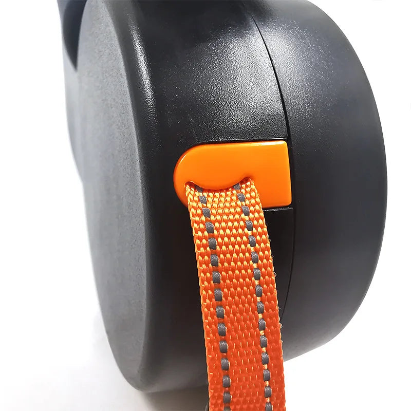 Double Dog Lead LED Light