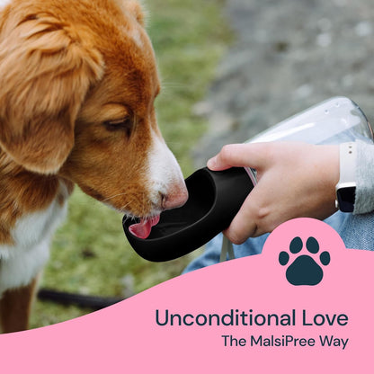 Portable Dog Water Bottle Travel Pet Water Dispenser 19 oz