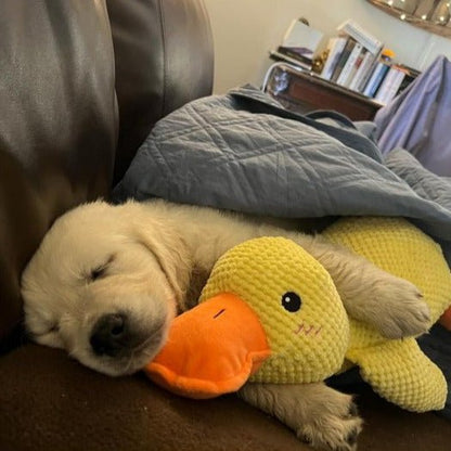 Dog Toy Duck Plush